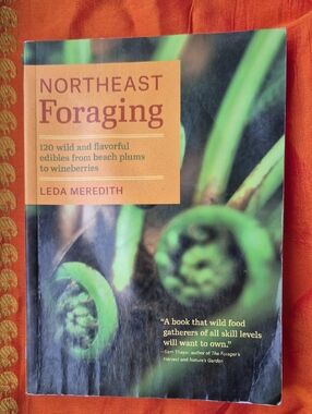 Northeast Foraging by Leda Meredith - Green & Orange Cover